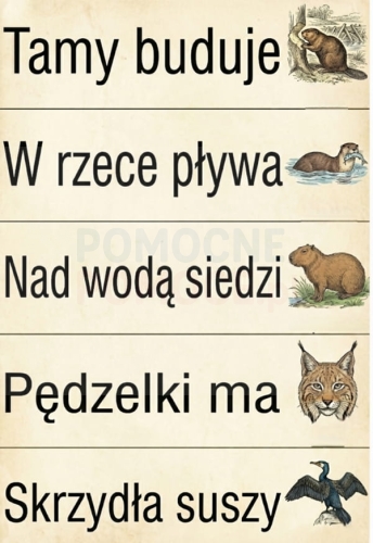 Zrzut ekranu_20-2-2026_114347_.jpeg